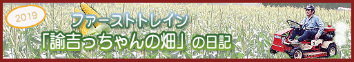 諭吉っちゃんの畑日記2019